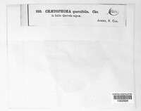 Image Associated With the Occurence